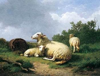 Sheep 067